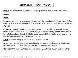Ericaceae – Heath Family