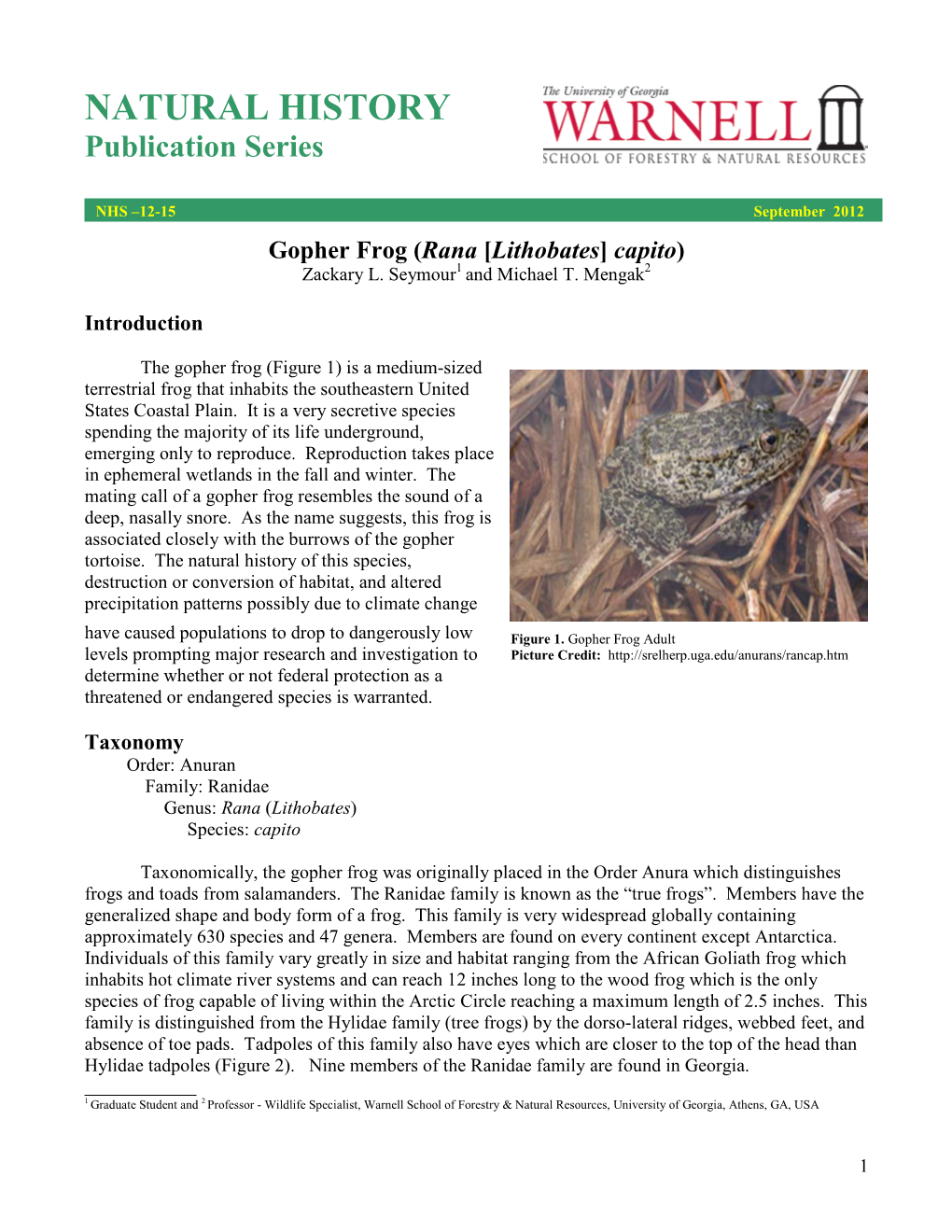 NATURAL HISTORY Publication Series Gopher Frog (Rana