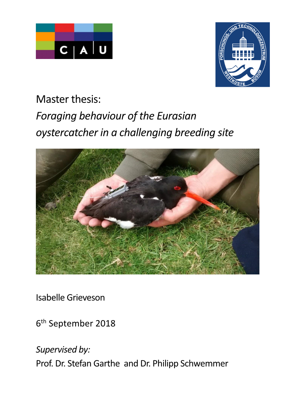 Master Thesis: Foraging Behaviour of the Eurasian Oystercatcher in a Challenging Breeding Site