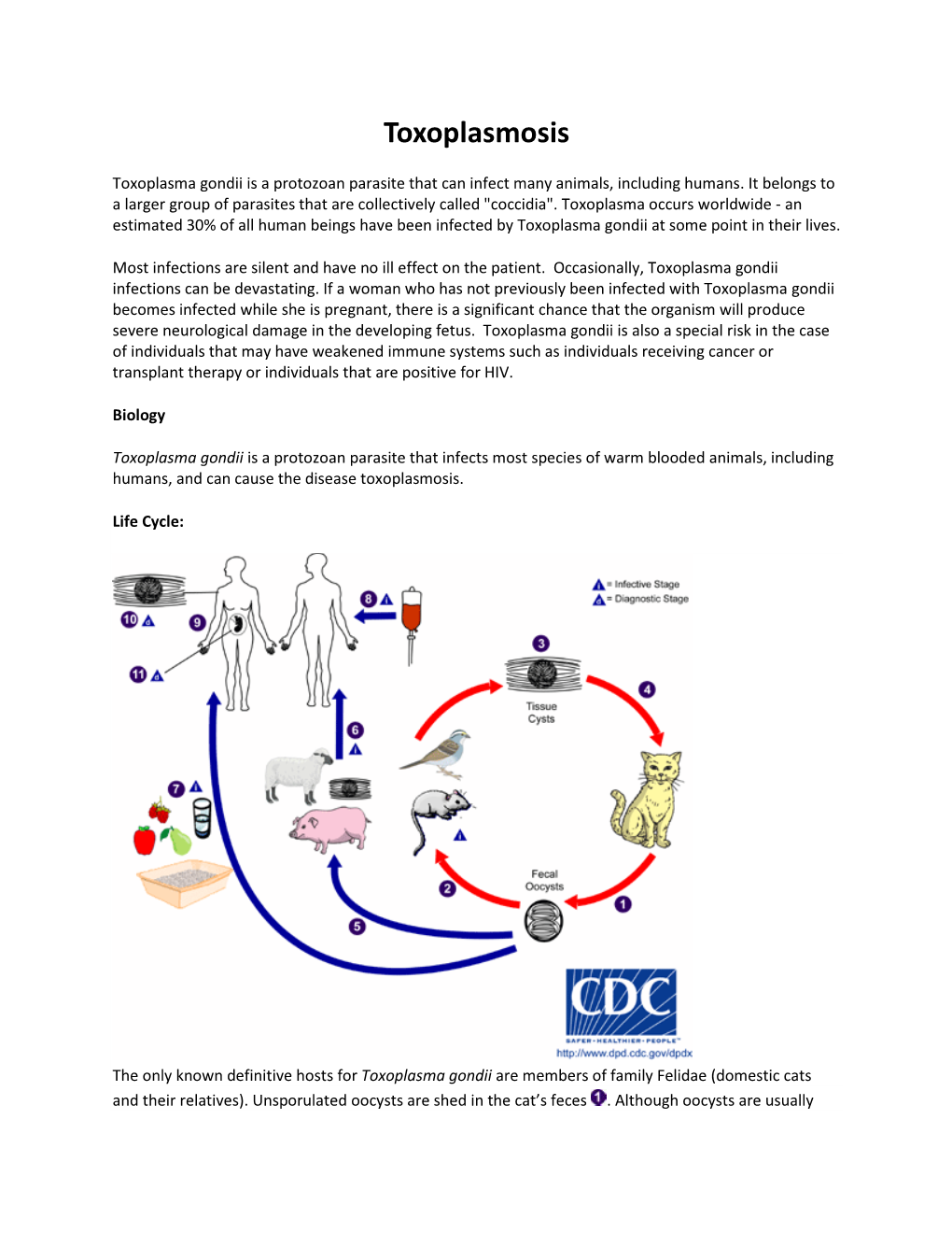 Toxoplasmosis