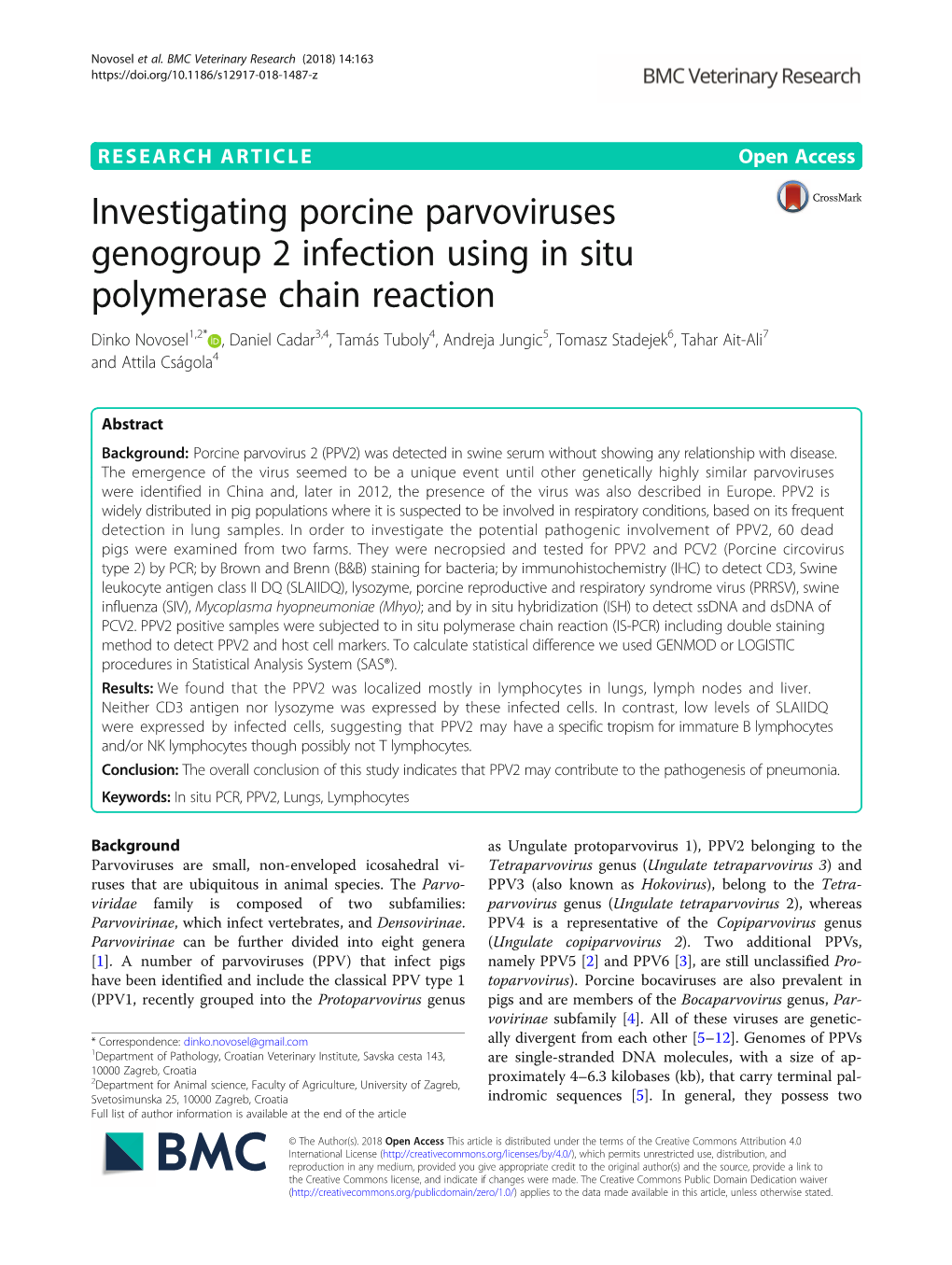 Investigating Porcine Parvoviruses Genogroup 2 Infection Using in Situ