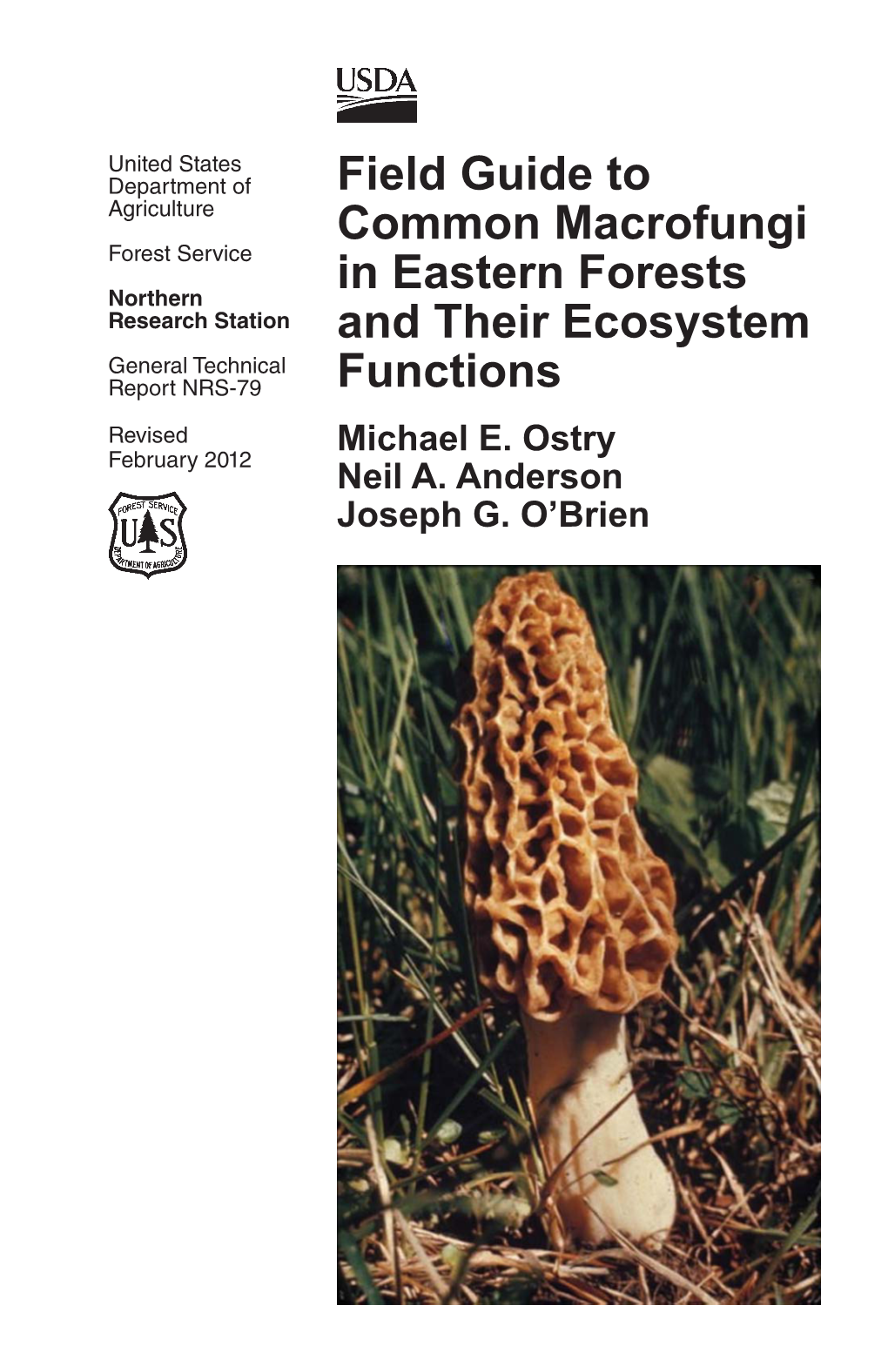 Field Guide to Common Macrofungi in Eastern Forests and Their Ecosystem Functions