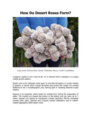 How Do Desert Roses Form?