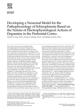 Developing a Neuronal Model for the Pathophysiology of Schizophrenia Based on the Nature of Electrophysiological Actions of Dopa