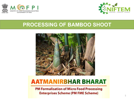 Processing of Bamboo Shoot