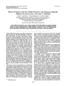 Adhesin of Escherichia Coli Type 1 Fimbriae KAREN A