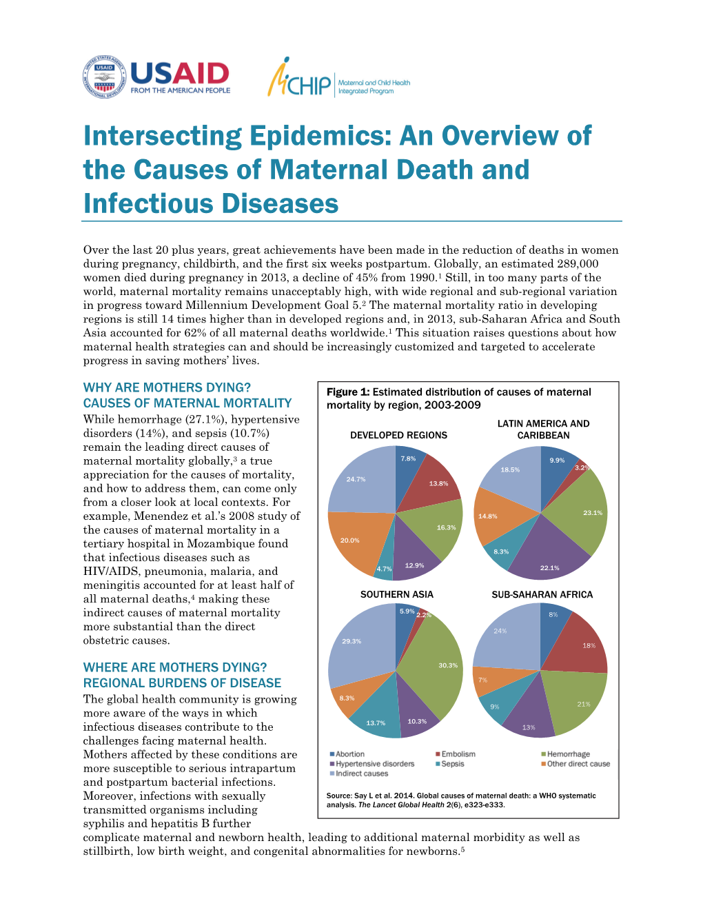 Intersecting Epidemics: an Overview of the Causes of Maternal Death and Infectious Diseases