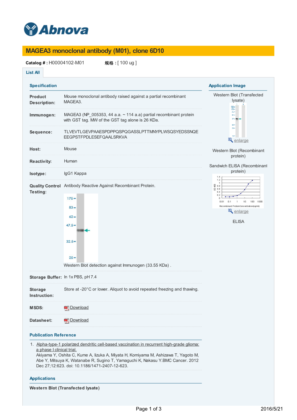 MAGEA3 Monoclonal Antibody (M01), Clone 6D10