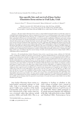 Size-Specific Fate and Survival of June Sucker Chasmistes Liorus Mictus in Utah Lake, Utah