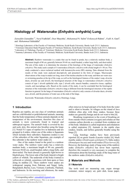 Histology of Watersnake (Enhydris Enhydris) Lung