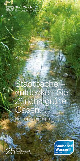 Stadtbäche – Entdecken Sie Zürichs Grüne Oasen. Bachspaziergänge