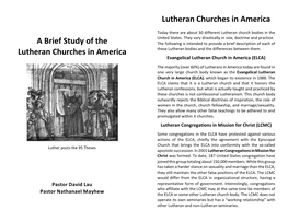 Brief Study of the Lutheran Churches in America
