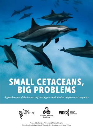 SMALL CETACEANS, BIG PROBLEMS a Global Review of the Impacts of Hunting on Small Whales, Dolphins and Porpoises