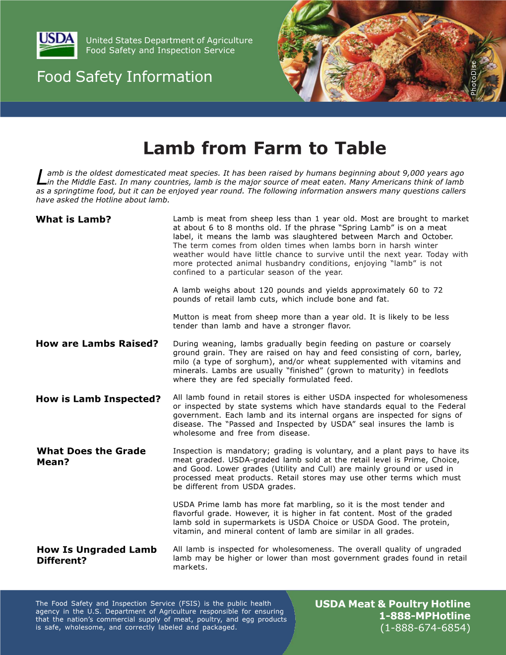 Lamb from Farm to Table
