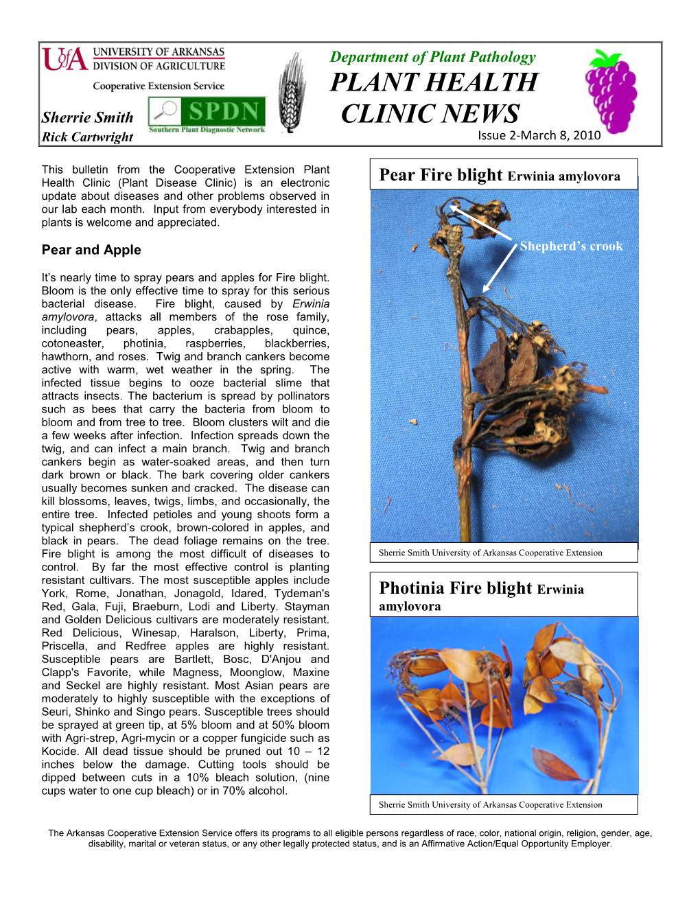Plant Health Clinic News