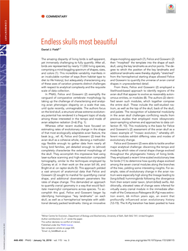 Endless Skulls Most Beautiful