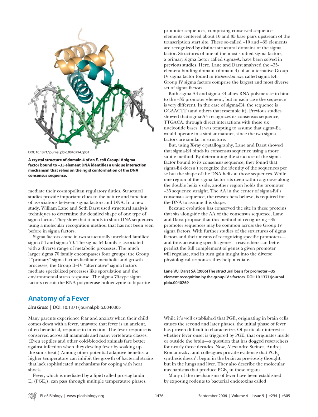 Synopsis in Plos Biol