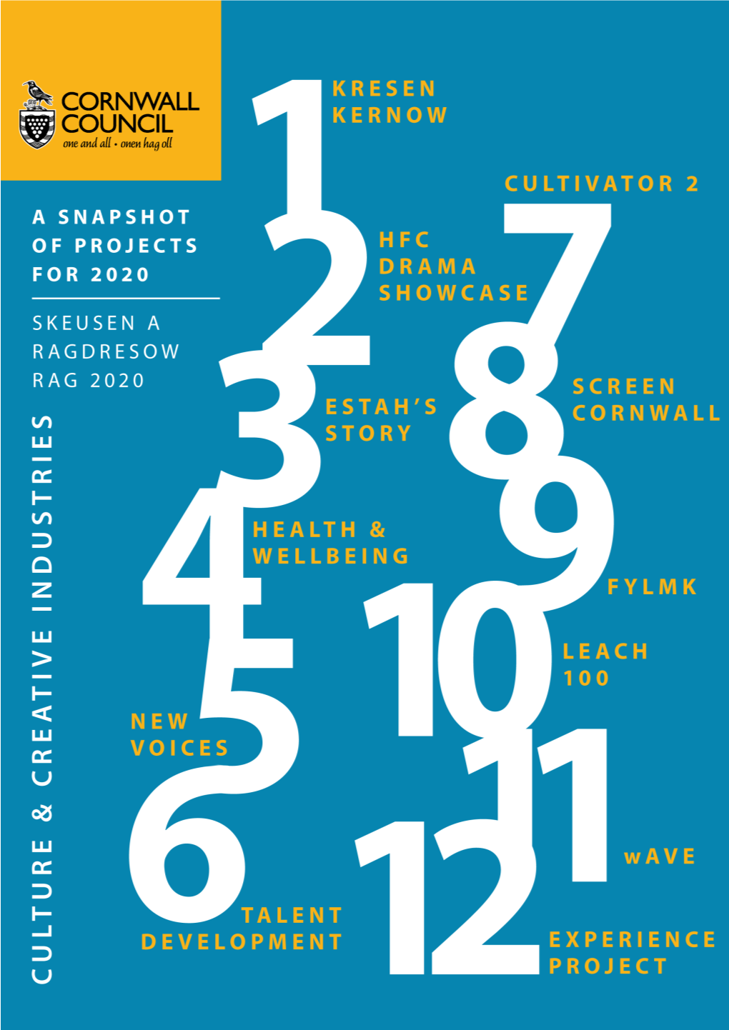 A Snapshot of Projects for 2020 Skeusen a Ragdresow Rag 2020