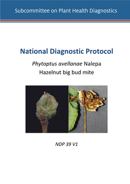 NDP 39 Hazelnut Big Bud Mite