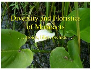 Diversity and Floristics of Monocots