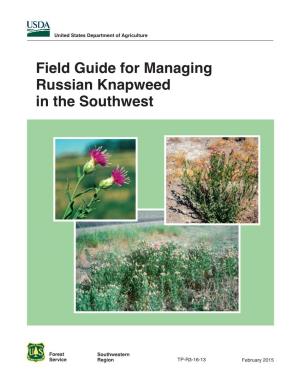 Russian Knapweed in the Southwest