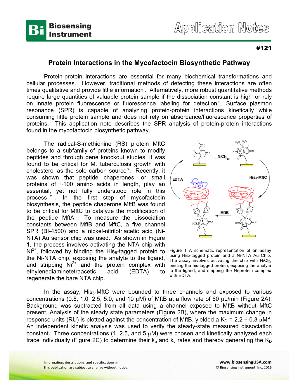 Protein Interactions in the Mycofactocin Biosynthetic Pathway