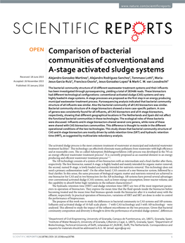 Comparison of Bacterial Communities of Conventional and A-Stage