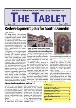 Redevelopment Plan for South Dunedin