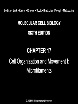 Molecular Cell Biology Sixth Edition