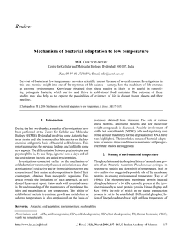 Mechanism of Bacterial Adaptation to Low Temperature