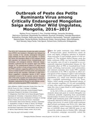 Outbreak of Peste Des Petits Ruminants Virus Among Critically Endangered Mongolian Saiga and Other Wild Ungulates, Mongolia, 2016–2017 Mathieu Pruvot, Amanda E