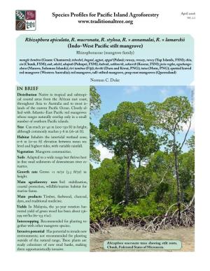 Rhizophora-IWP ( Mangrove Family )