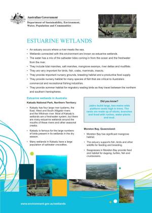 Estuarine Wetlands