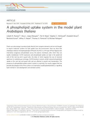 A Phospholipid Uptake System in the Model Plant Arabidopsis Thaliana