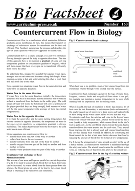 Countercurrent Flow in Biology