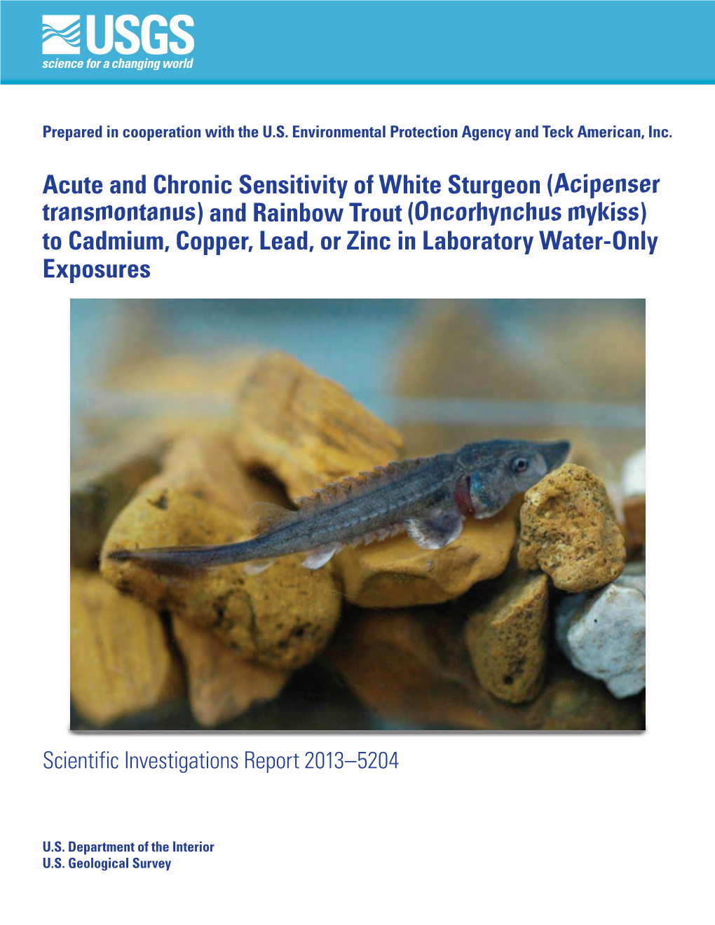 And Rainbow Trout (Oncorhynchus Mykiss) to Cadmium, Copper, Lead, Or Zinc in Laboratory Water-Only Exposures