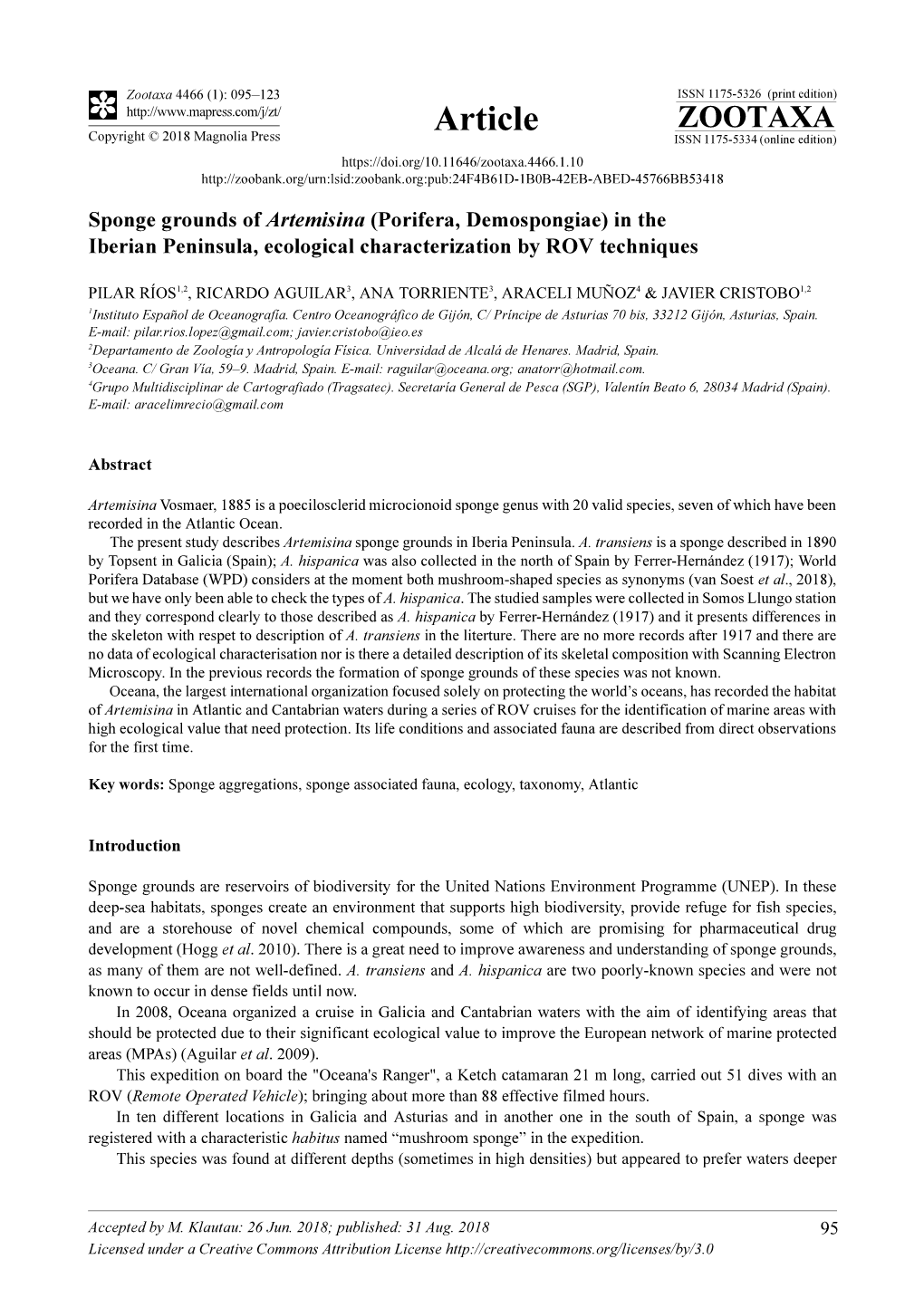 Sponge Grounds of Artemisina (Porifera, Demospongiae) in the Iberian Peninsula, Ecological Characterization by ROV Techniques