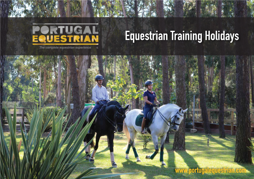 Equestrian Training Holidays