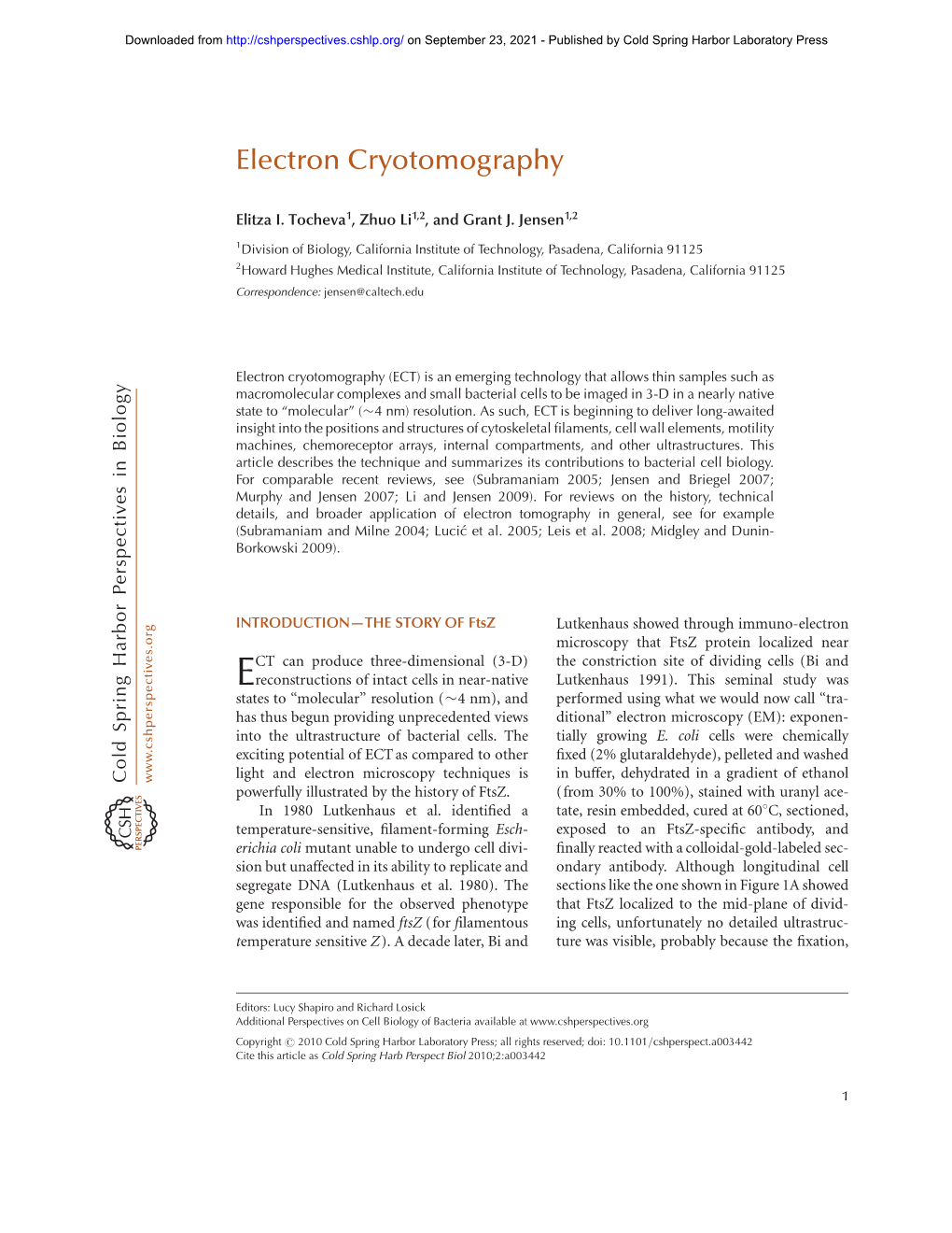 Electron Cryotomography