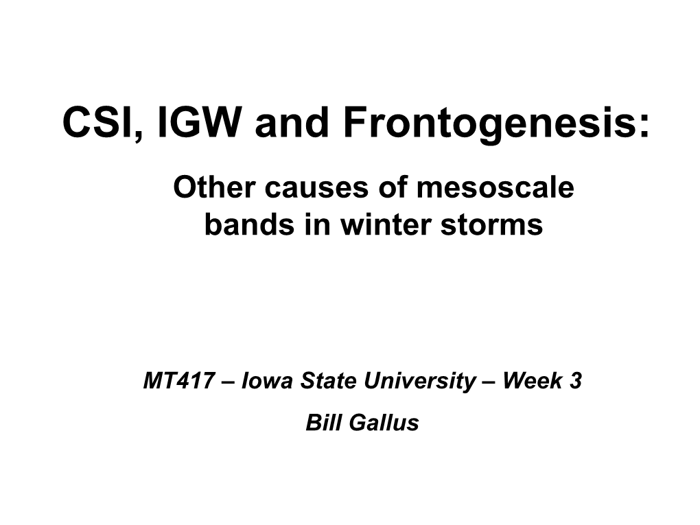 CSI, IGW and Frontogenesis: Other Causes of Mesoscale Bands in Winter Storms