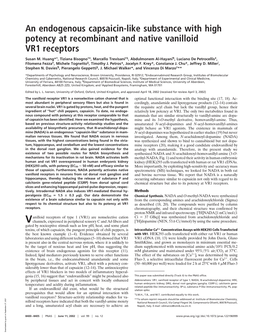 An Endogenous Capsaicin-Like Substance with High Potency at Recombinant and Native Vanilloid VR1 Receptors