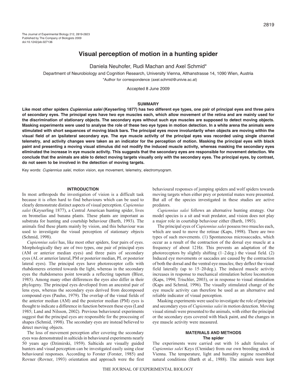 Visual Perception of Motion in a Hunting Spider