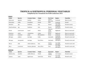 Tropical & Subtropical Perennial Vegetables