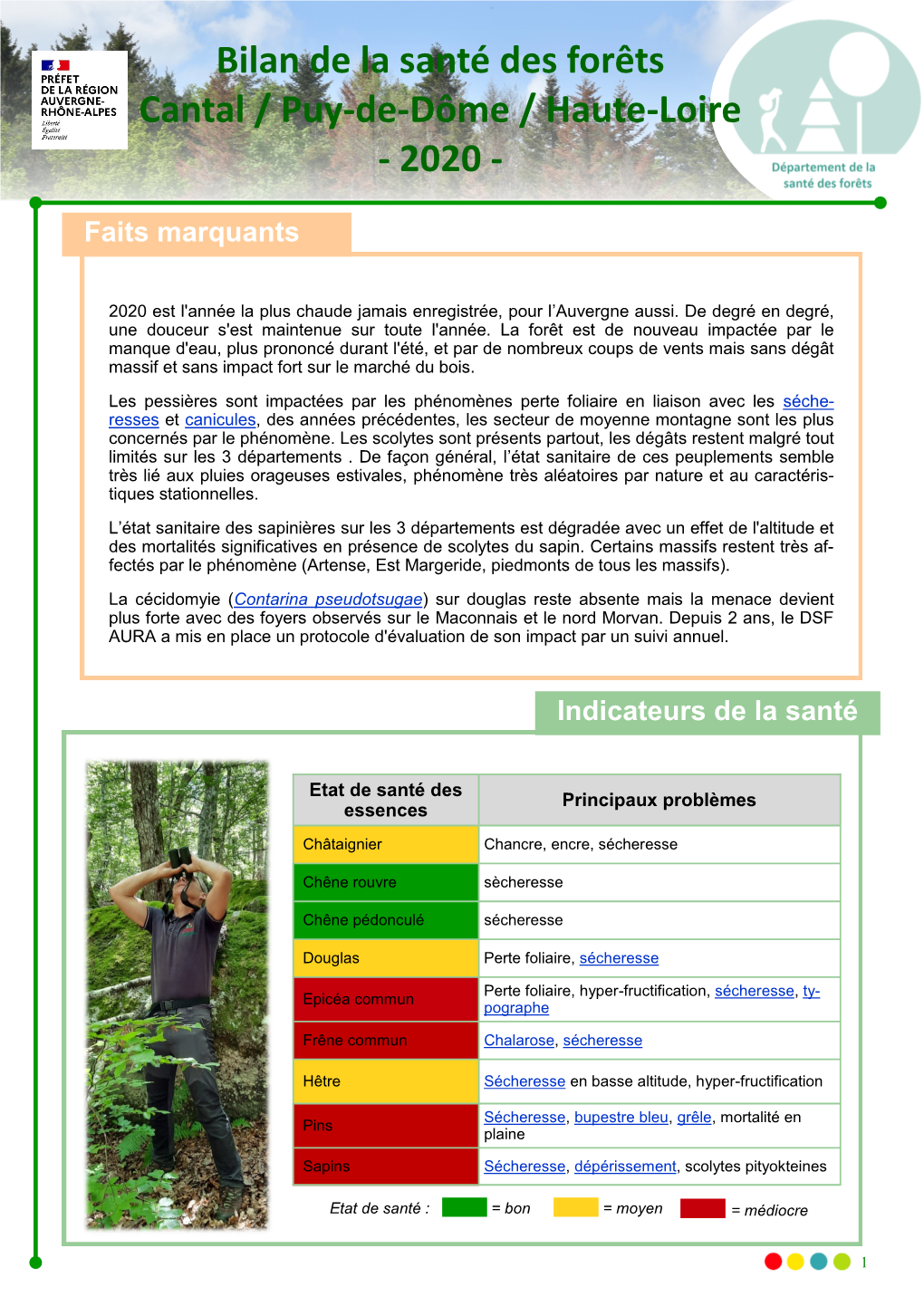 Bilan De La Santé Des Forêts Cantal / Puy-De-Dôme / Haute-Loire