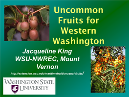 Uncommon Fruits for Western Washington