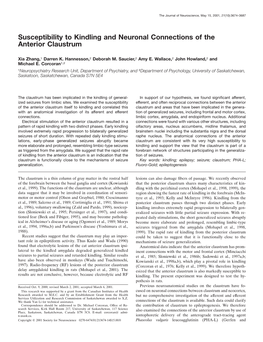 Susceptibility to Kindling and Neuronal Connections of the Anterior Claustrum