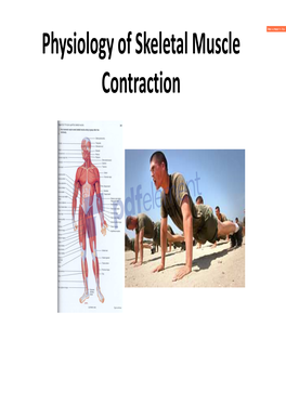 Physiology of Skeletal Muscle Contraction Outline