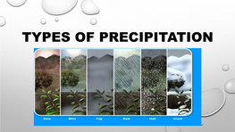 Types of Precipitation There Are Many Forms of Precipitation to Be Found in Every Climate