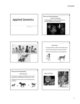 Applied Genetics •Crossing Organisms with Desirable Traits to Produce Offspring with Those Traits