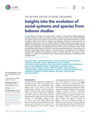 Insights Into the Evolution of Social Systems and Species from Baboon Studies